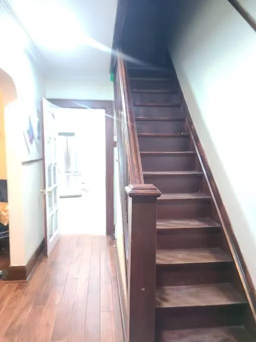 Apartment 3 Bedroom House In Toronto Downtown